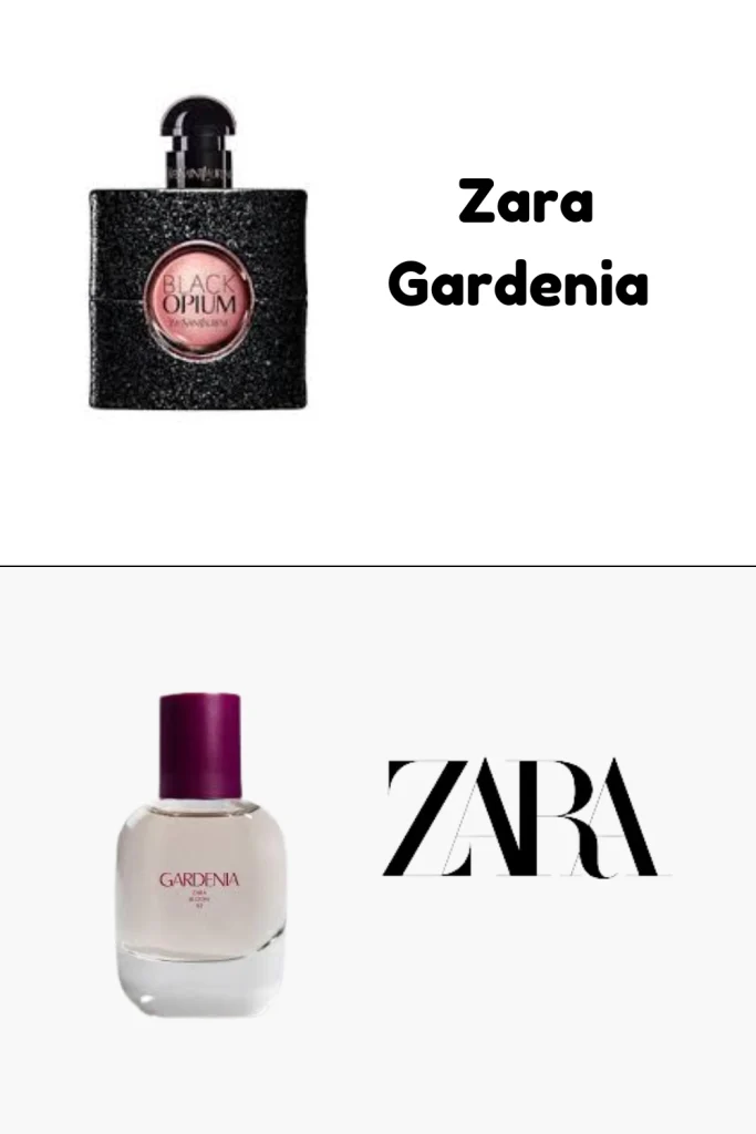 Zara Gardenia v YSL Black Opium